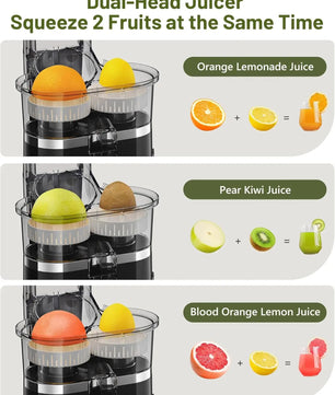 Dual Head Electric Juicer