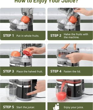 Dual Head Electric Juicer