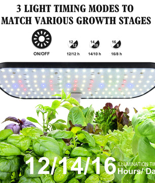12 Pods Hydroponics Growing System