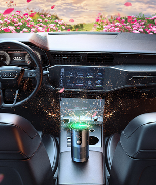 Air Purifier Anion Generator Disinfection and Odor Removal Vehicle & Home System.
