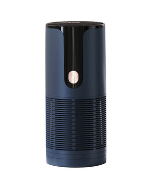Air Purifier Anion Generator Disinfection and Odor Removal Vehicle & Home System.