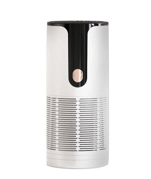 Air Purifier Anion Generator Disinfection and Odor Removal Vehicle & Home System.