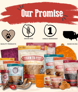 Chicken Chips for Dogs | All-Natural Single-Ingredient Dog Treats