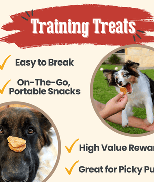 Chicken Chips for Dogs | All-Natural Single-Ingredient Dog Treats