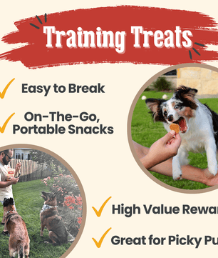 Chicken Chips for Dogs | All-Natural Single-Ingredient Dog Treats
