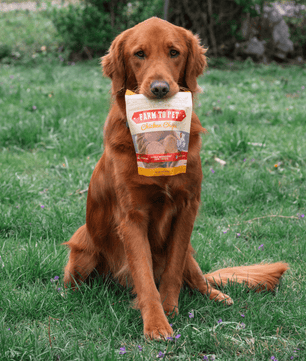 Chicken Chips for Dogs | All-Natural Single-Ingredient Dog Treats