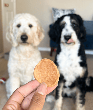 Chicken Chips for Dogs | All-Natural Single-Ingredient Dog Treats