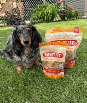 Chicken Chips for Dogs | All-Natural Single-Ingredient Dog Treats