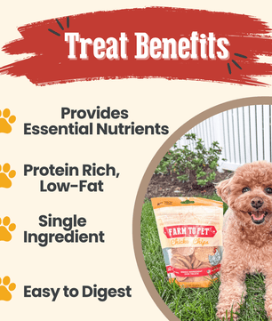 Chicken Chips for Dogs | All-Natural Single-Ingredient Dog Treats