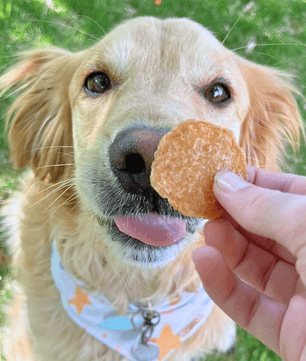 Chicken Chips for Dogs | All-Natural Single-Ingredient Dog Treats
