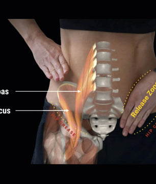 Hip Hook™ System (+ Orbit® & App)