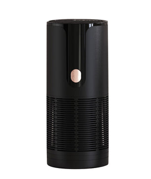 Air Purifier Anion Generator Disinfection and Odor Removal Vehicle & Home System.