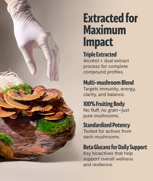 Organic Mushroom Complex Supplement Capsules