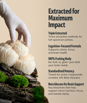 Organic Mushroom Complex Supplement Capsules