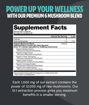 Organic Mushroom Complex Supplement Capsules