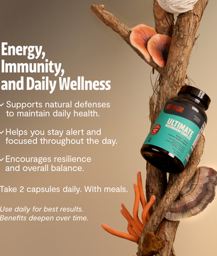 Organic Mushroom Complex Supplement Capsules