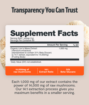 Organic Mushroom Complex Supplement Capsules