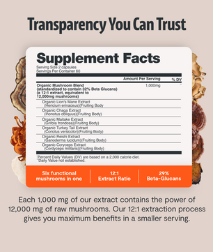 Organic Mushroom Complex Supplement Capsules
