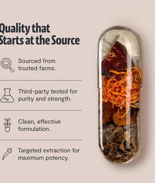 Organic Mushroom Complex Supplement Capsules