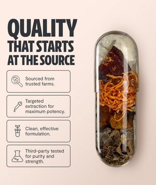 Organic Mushroom Complex Supplement Capsules