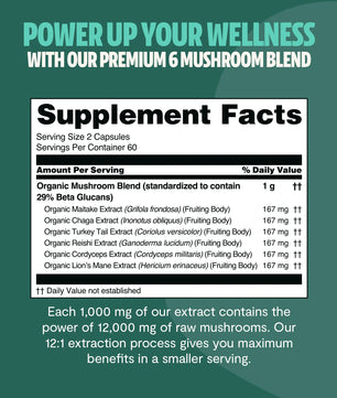 Organic Mushroom Complex Supplement Capsules