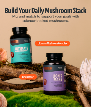 Organic Mushroom Complex Supplement Capsules